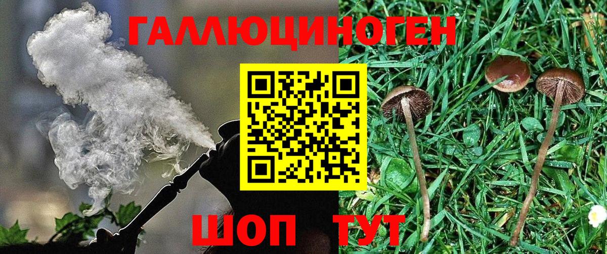 Псилоцибиновые грибы мухоморы  Псилоцибиновые грибы мухоморы  Вход с VPN  Муравленко 