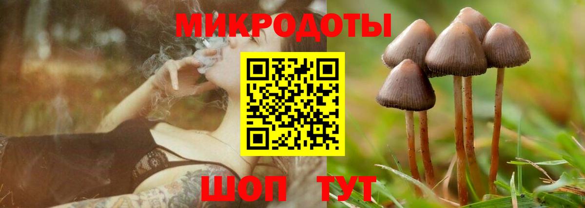 Галлюциногенные грибы прущие грибы Муравленко
